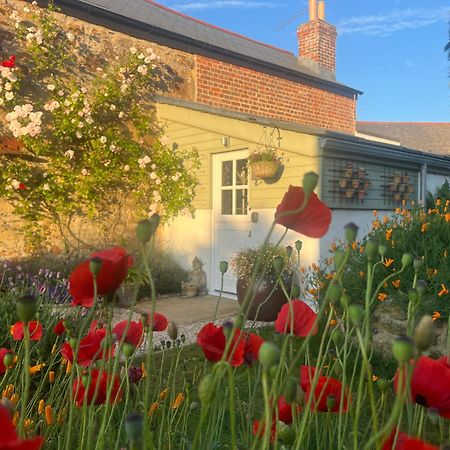 Penwyth House Bed & Breakfast New Quay Dış mekan fotoğraf