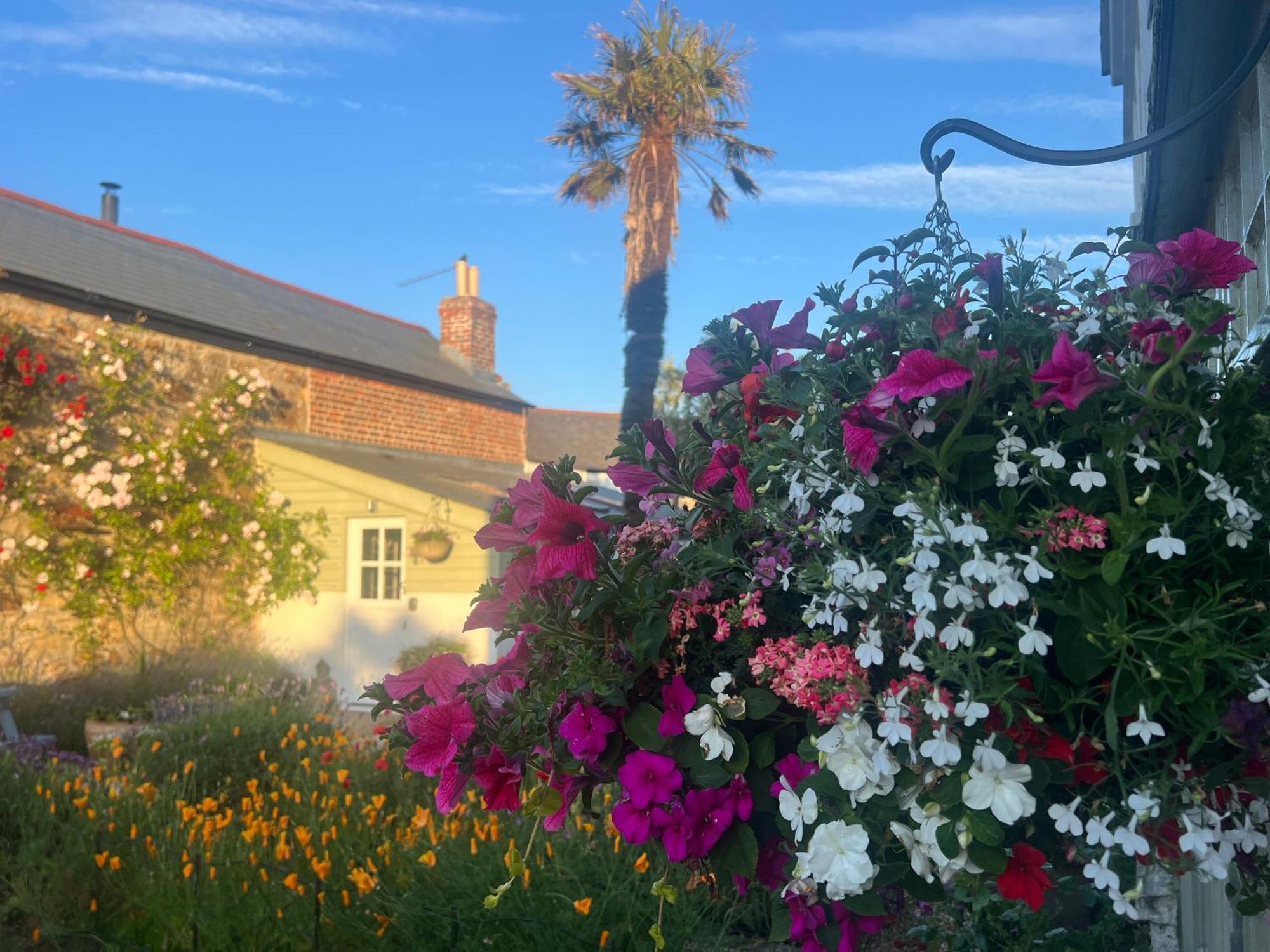 Penwyth House Bed & Breakfast New Quay Dış mekan fotoğraf