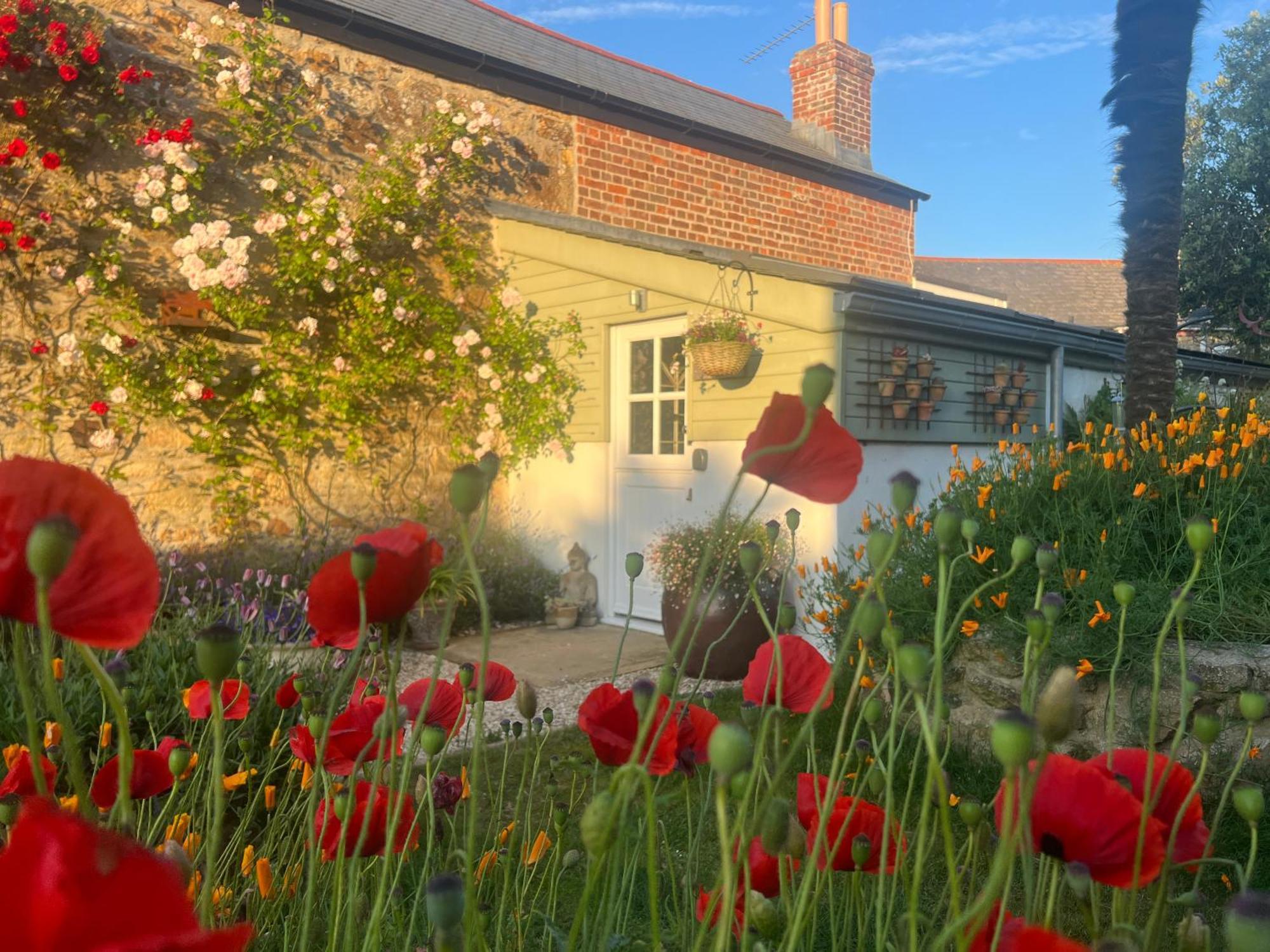 Penwyth House Bed & Breakfast New Quay Dış mekan fotoğraf
